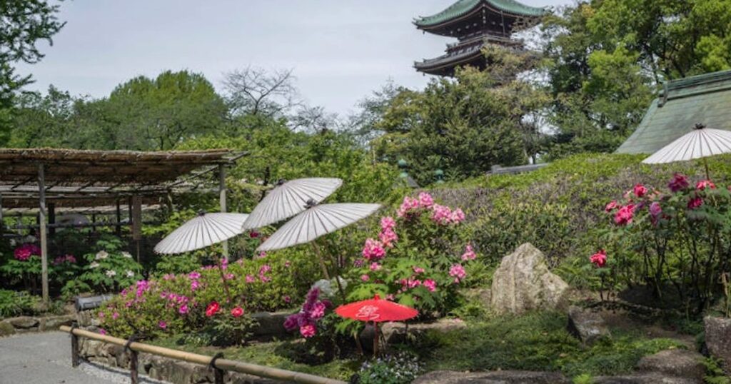 Japan-Reise 2026 planen: Diese Wochen ruinieren dir Budget, Nerven und Fotos