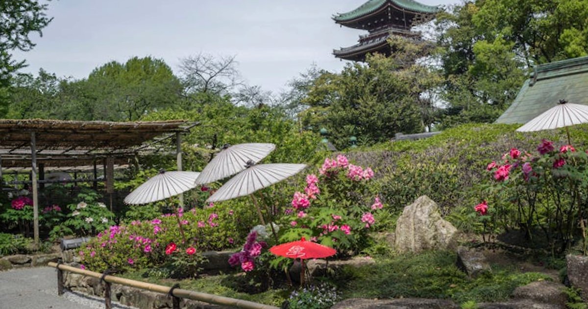 Japan-Reise 2026 planen: Diese Wochen ruinieren dir Budget, Nerven und Fotos