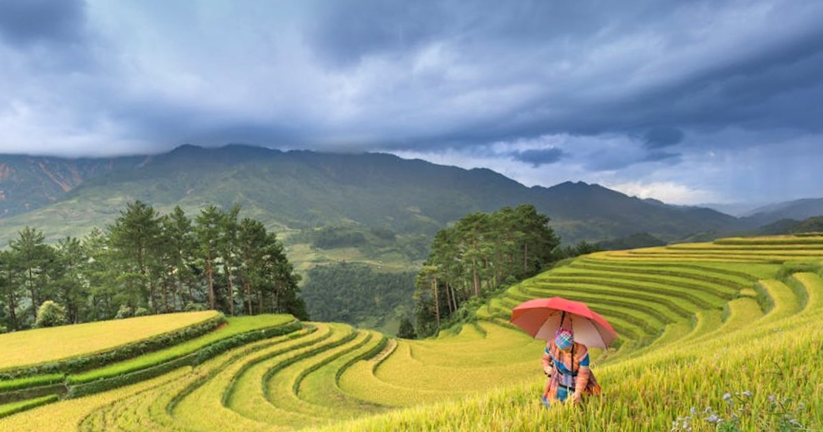 Vietnam 2025/2026 ohne Wetterdrama: Welche Reisezeiten du besser meidest (und wie du clever ausweichst)