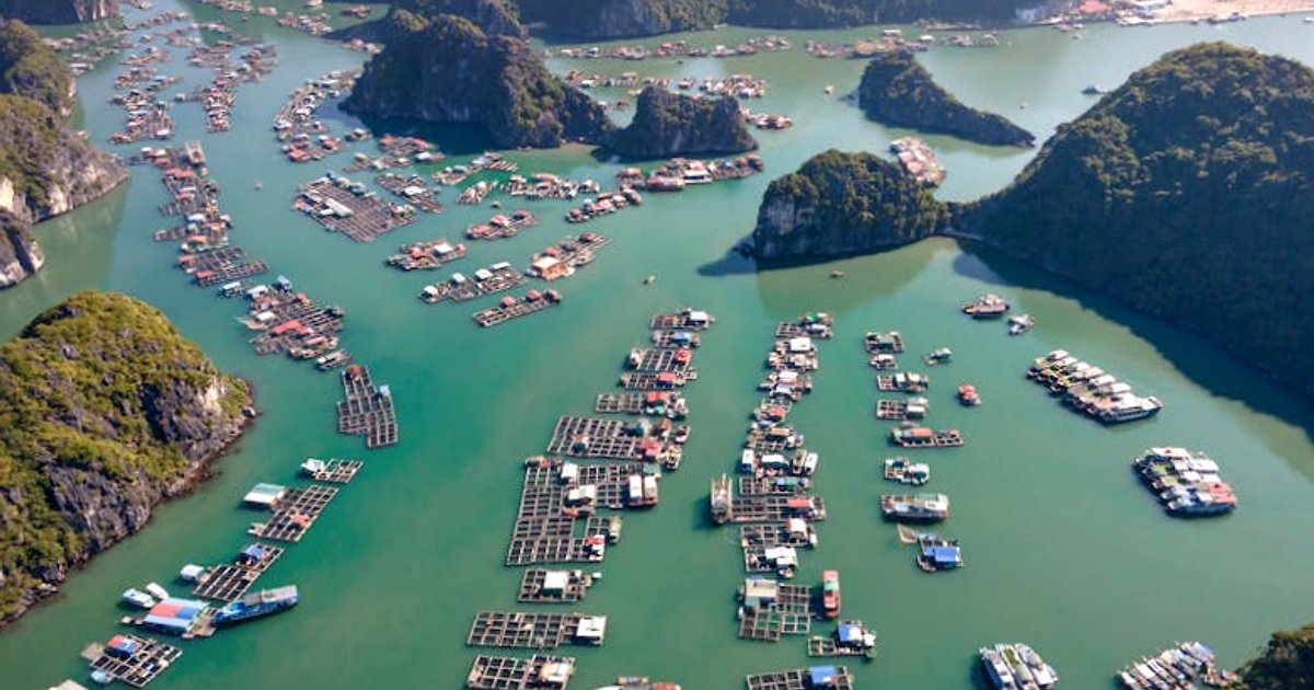 Vietnam für Einsteiger: 21 Tipps, die deine erste Reise 2024/25 wirklich leichter machen