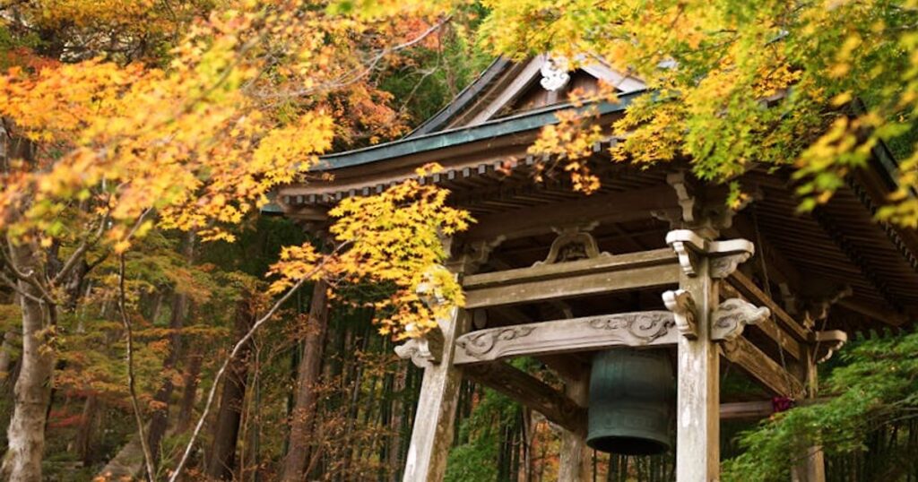 Hakone Free Pass 2026: Wann er sich wirklich lohnt – und wann du besser Einzeltickets nimmst